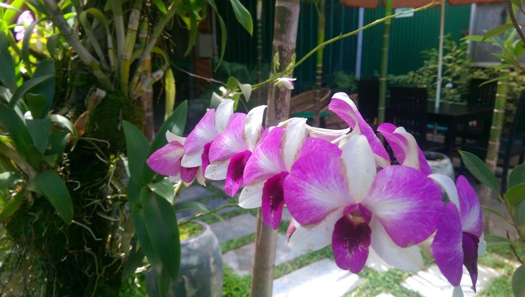 Siem Reap Green Home Guesthouse ภายนอก รูปภาพ